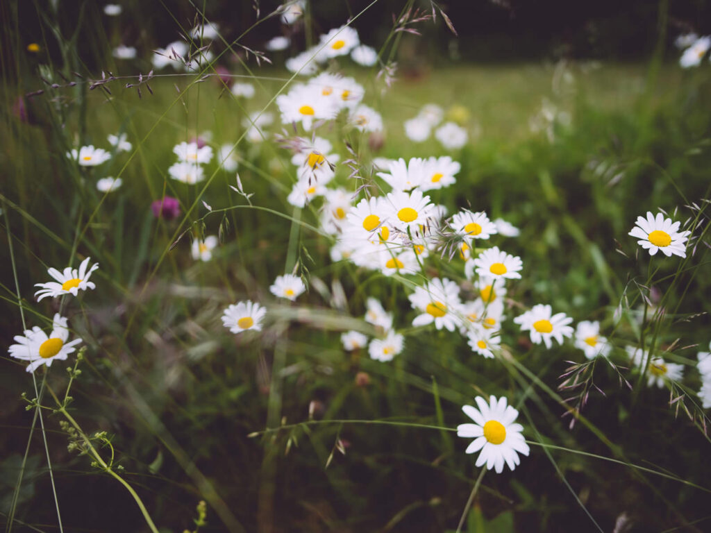 Women's Drug Rehab