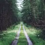 Narrow Road