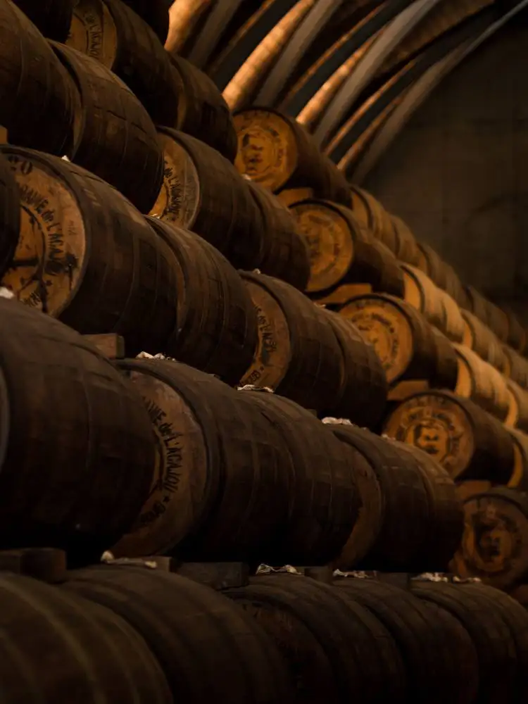 Wine Cellar