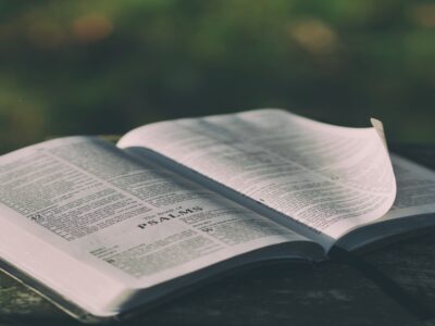 aaron-burden-113284-unsplash-2