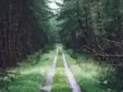 Narrow Road
